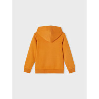 Bio Kapuzenhoodie orange