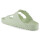 Arizona EVA Faded Lime