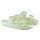 Arizona EVA Faded Lime