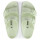 Arizona EVA Faded Lime