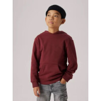 Kids Hoodie, dunkelrot mit R&uuml;ckenprint
