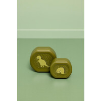 Snackbox mit clip-2er Set Mr.Dino