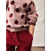 Strickpullover mit Marienk&auml;fern