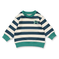 Baby Sweater mit Schildkr&ouml;ten Patch