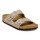 Arizona Rivet Border , gray/taupe